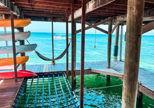 Load image into Gallery viewer, Roatan 2023 | The Resort at Marble Hill
