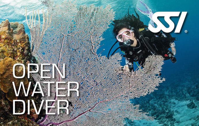 Open Water Diver Certification Course (No Package)